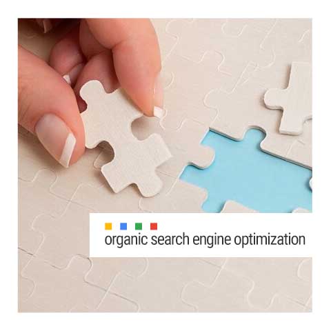 Come funziona la SEO organicae